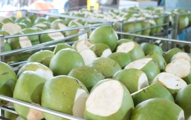 xuất khẩu dừa sang Hàn